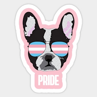 PRIDE - Boston Terrier Dog Trans Transgender Pride Flag Sticker